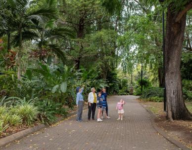 Sunday guided walks - City Botanic Gardens
