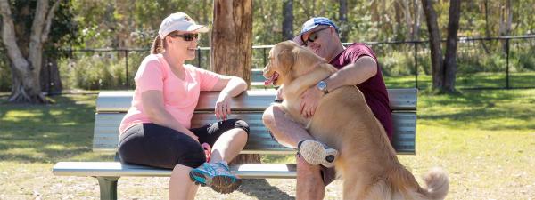 Golden retriever with two adults sitting on a bench seat at Calamvale District Park, Calamvale.
