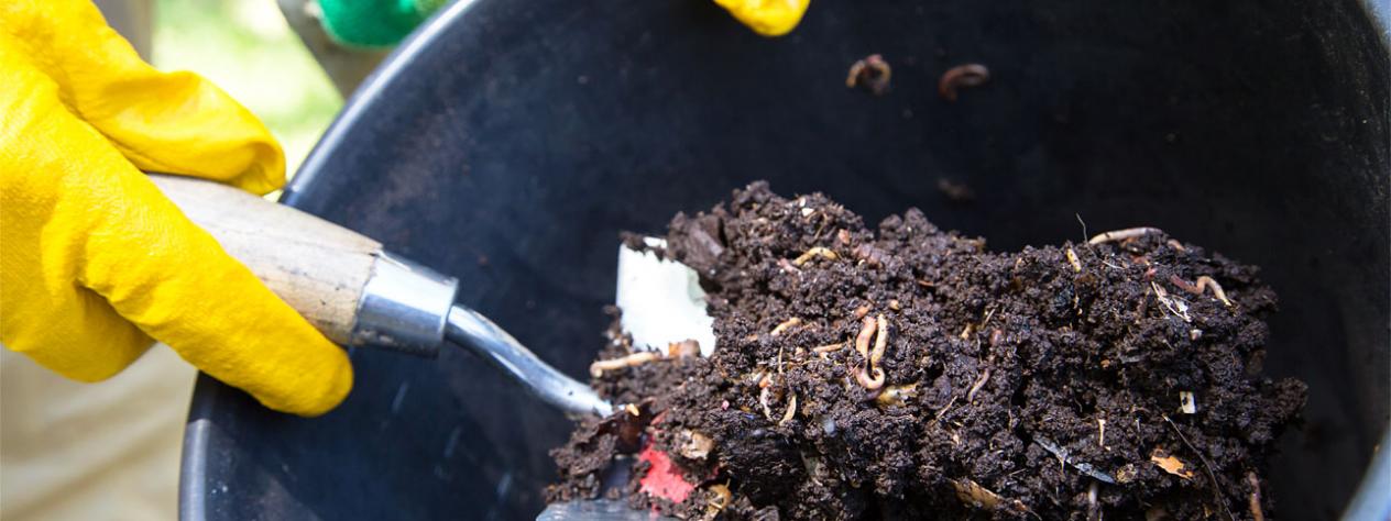 Composting turn and learn