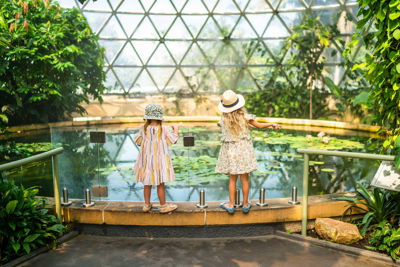 Two girls looking at the pond in the Tropical Dome at Brisbane Botanic Gardens Mt Coot-tha.