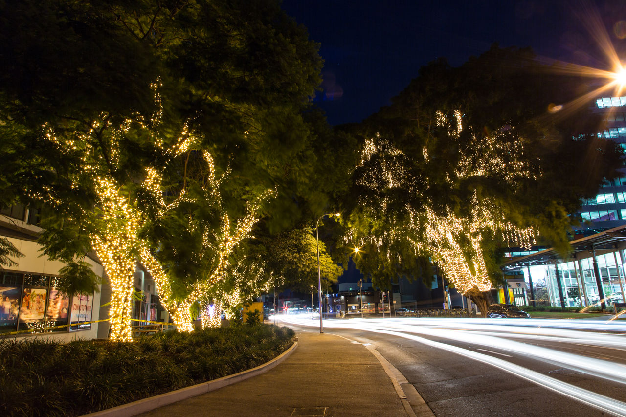 Bud lighting in trees at East Street, Fortitude Valley.