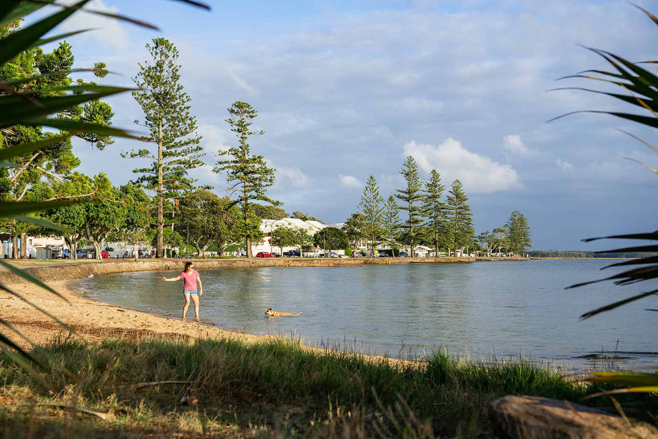 A woman throwing a stick to a dog in the water at Shorncliffe.
