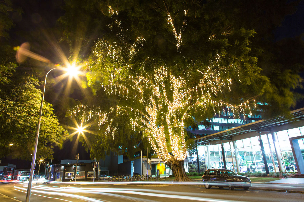 Street tree bud lighting on East Street, Fortitude Valley.