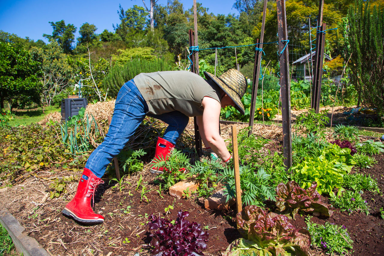 Woman working in garden patch at Yoorala Street Community Garden.