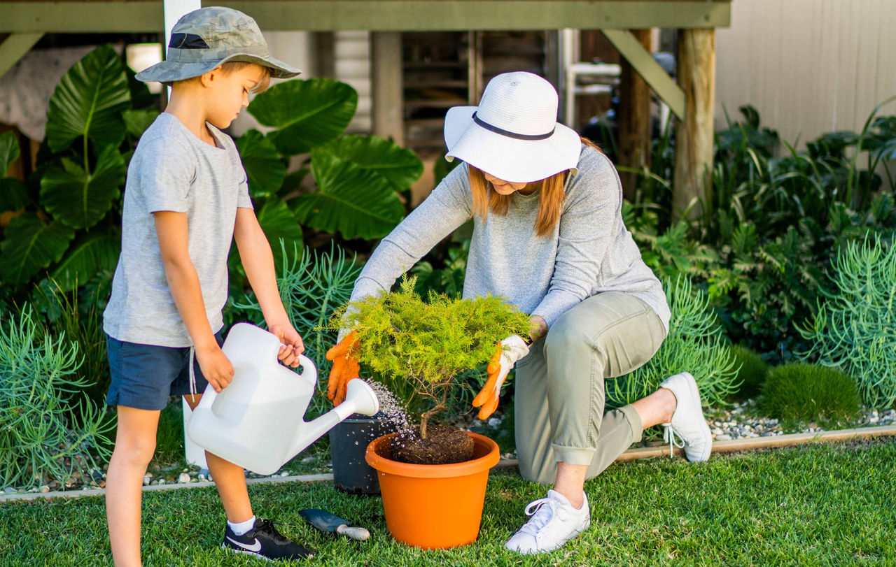 Woman and boy hand watering a potted plant in a Brisbane backyard.