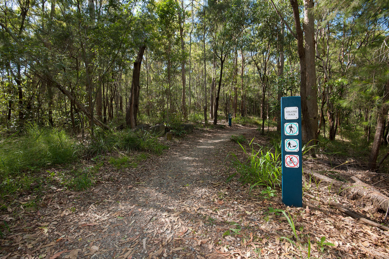 Walking track through Toohey Forest. Pole sign with 4 plates in forefront of image. conveying dogs are permitted on a leash and bikes are prohibited.