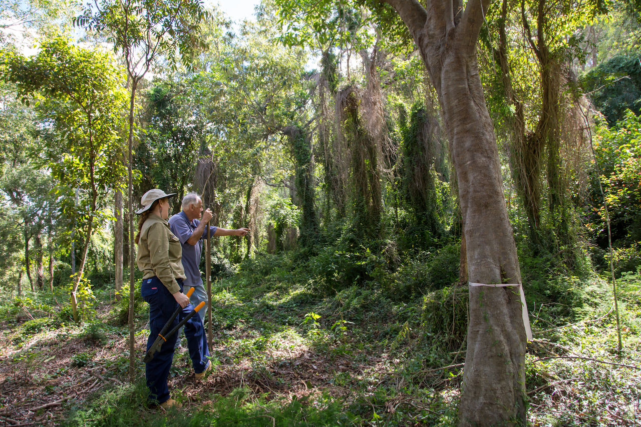 Landholder and Council officer on a Wildlife Conservation Partnership program site.