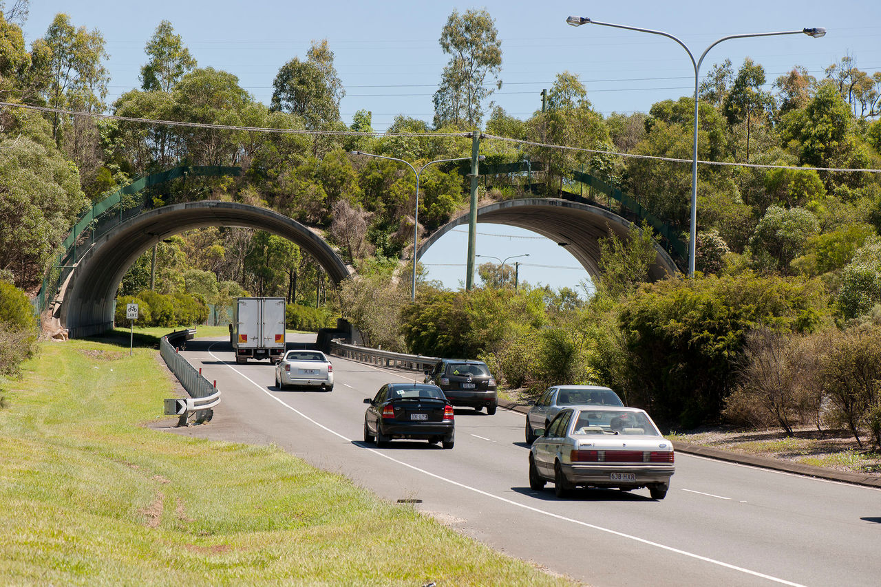 Traffic approaching Compton Road wildlife crossing site.