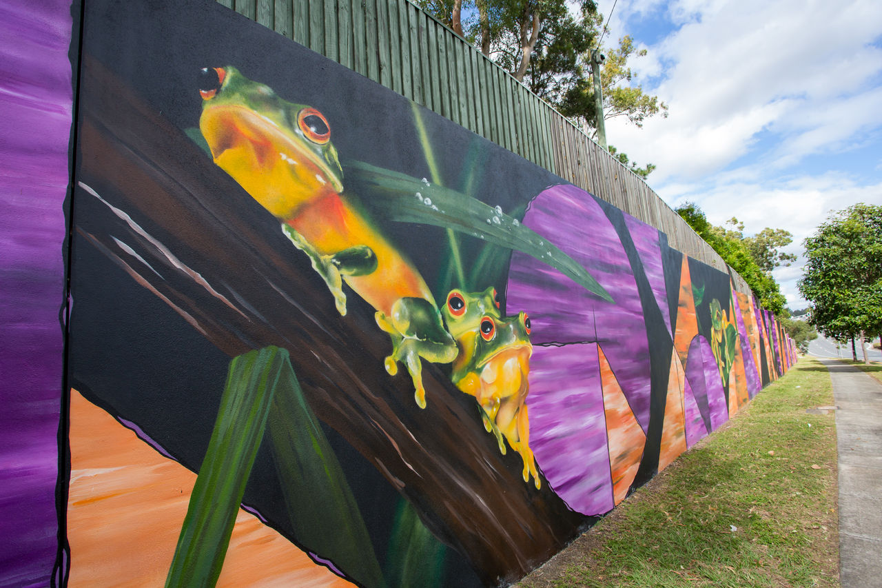 Frog life mural in Brisbane.