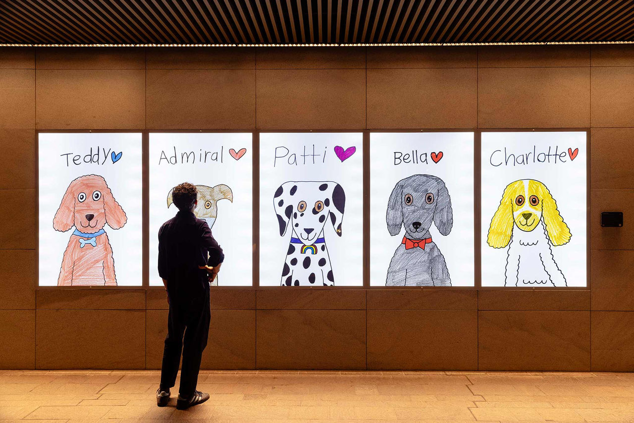 Artwork by Marcus Nunn for AMPLIFY ME! Outdoor Gallery exhibition.