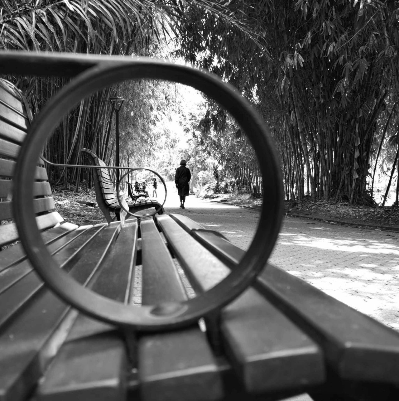 A black and white image of a woman walking along a path in the City Botanic Gardens. A chair arm is in the forefront of the image.