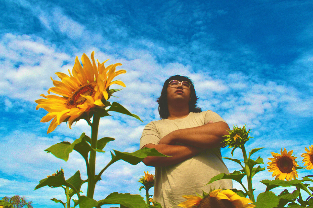 The QUBE finalist Rexy amongst a sunflower field.