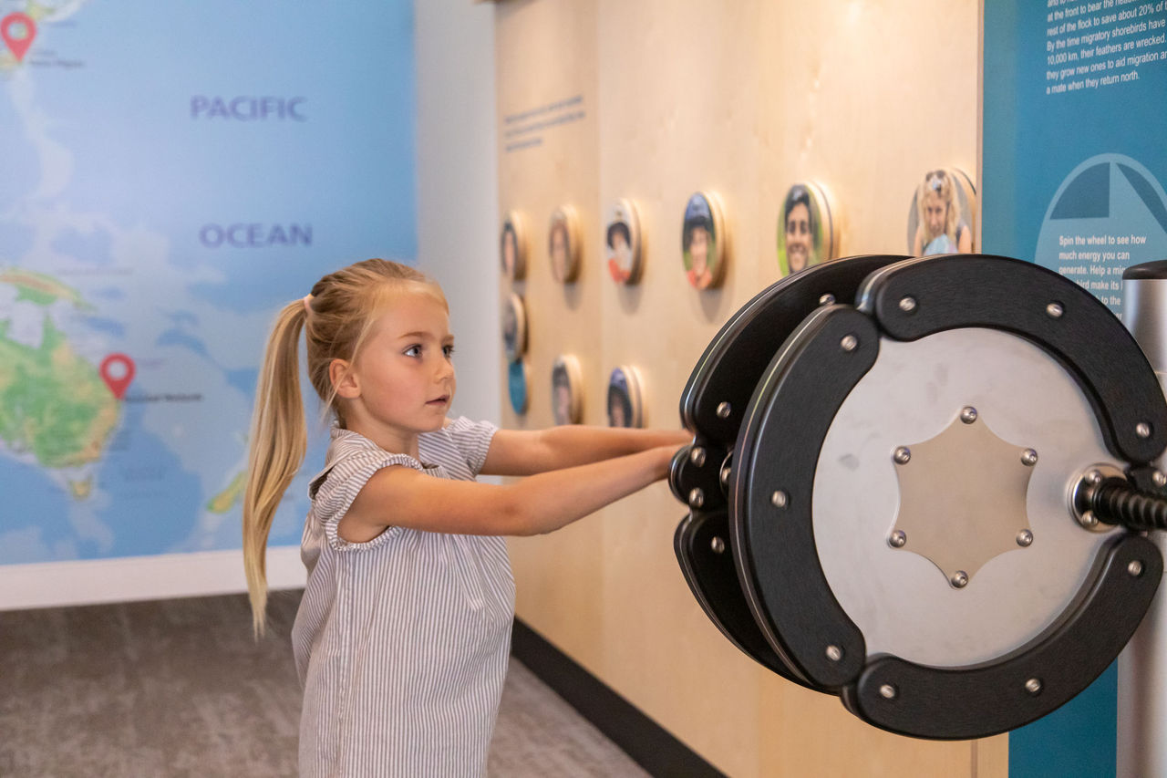 Young child interacting with display at Boondall Wetlands Environment Centre.