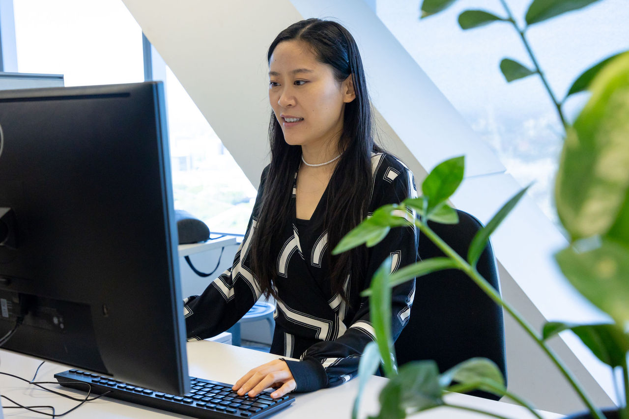 Female office-based Council employee in front of a computer workstation. Indoor plant in right foreground.