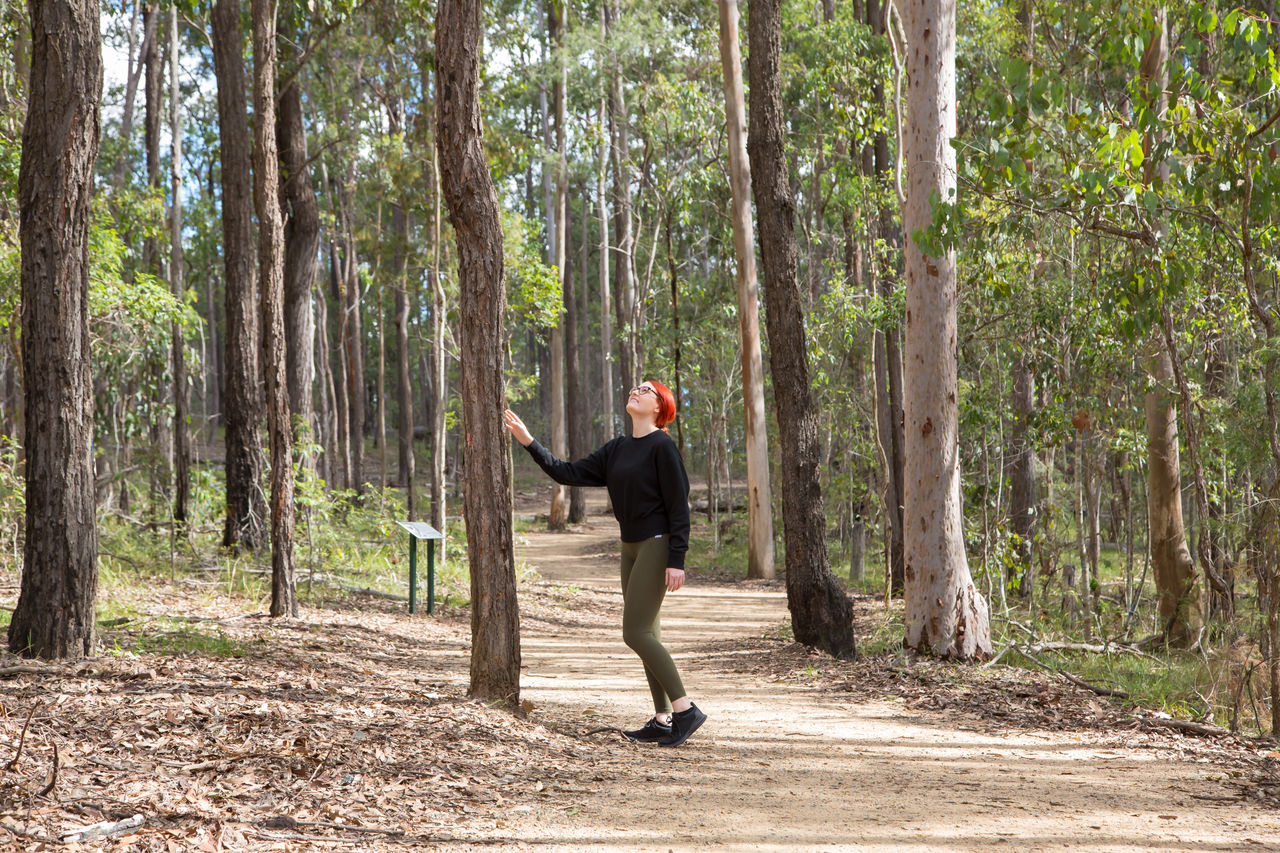 Walker on the Karawatah forest walking tracks.