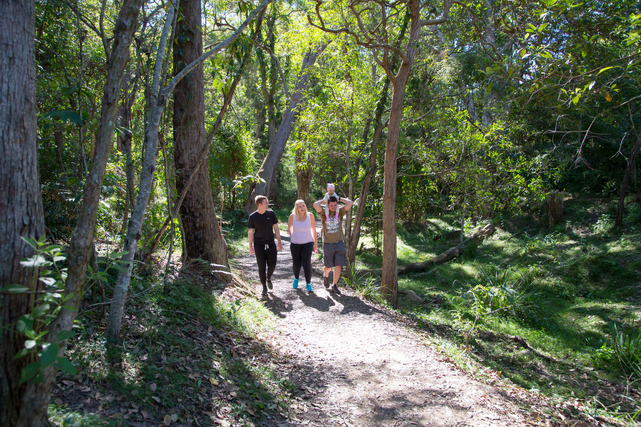 A group of adults and children walk along a bush track at Chermside Hills Reserve.