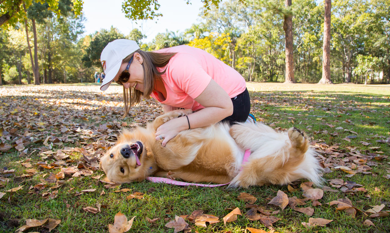 Woman in activewear with a yellow Labrador pup in a Brisbane dog park. Woman is kneeling next to dog scratching its belly playfully.