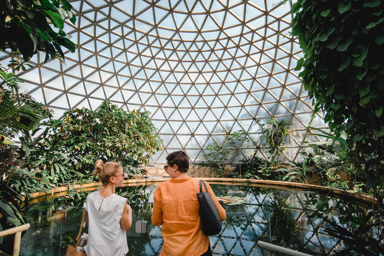 Visitors observing plants inside the Tropical Display Dome at the Brisbane Botanic Gardens Mt Coot-tha.