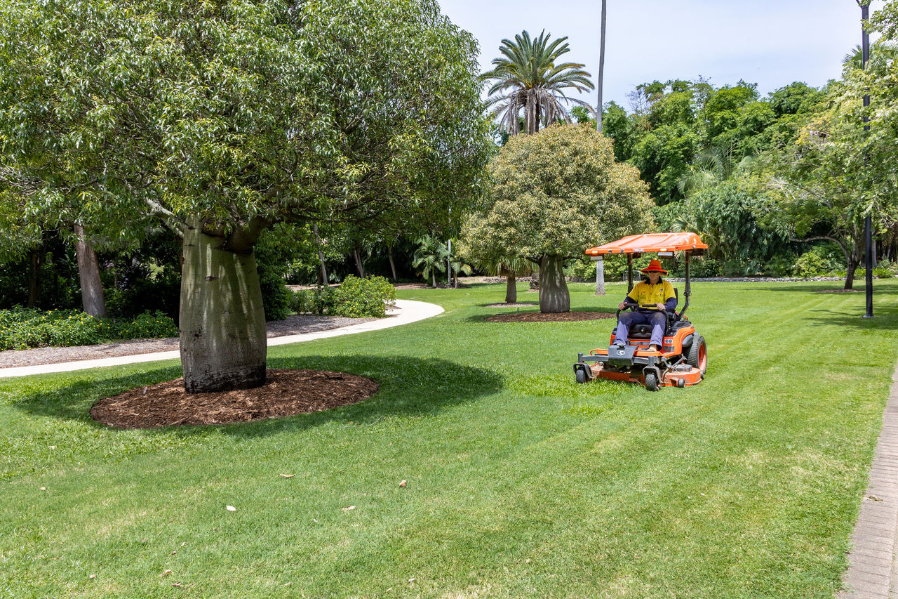 A gardener mows grass at the City Botanic Gardens.