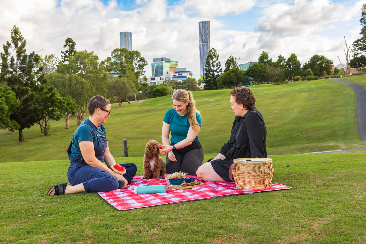 An image of 3 people and a dog sitting on a rug having a picnic in a park with Brisbane City in the background.