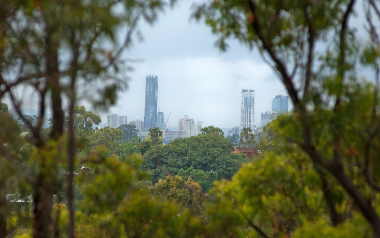 A view of Brisbane City buildings through the trees at Chermside Hills Reserve.