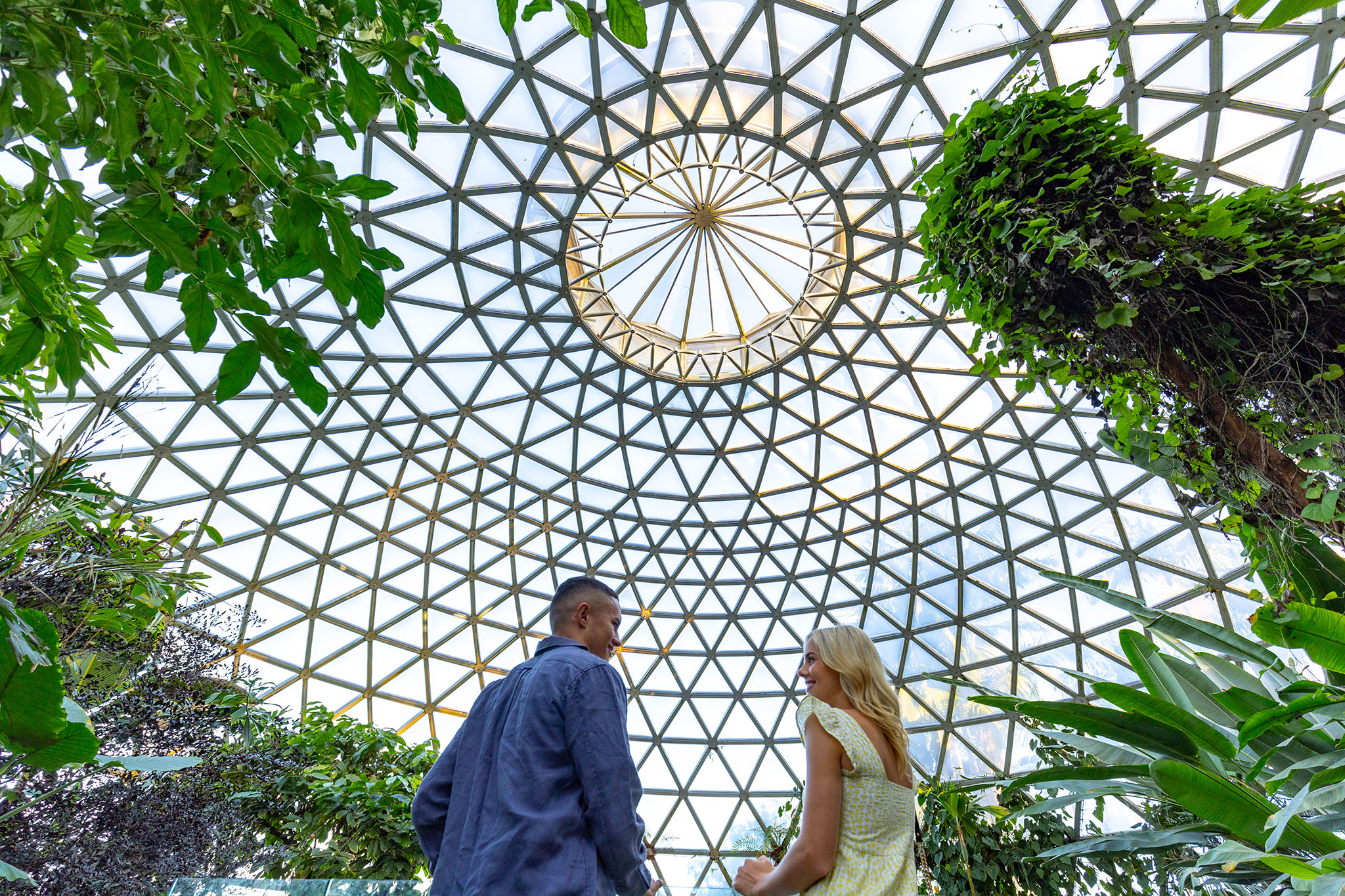 Man and woman standing in the Tropical Display Dome at Brisbane Botanic Gardens Mt Coot-tha