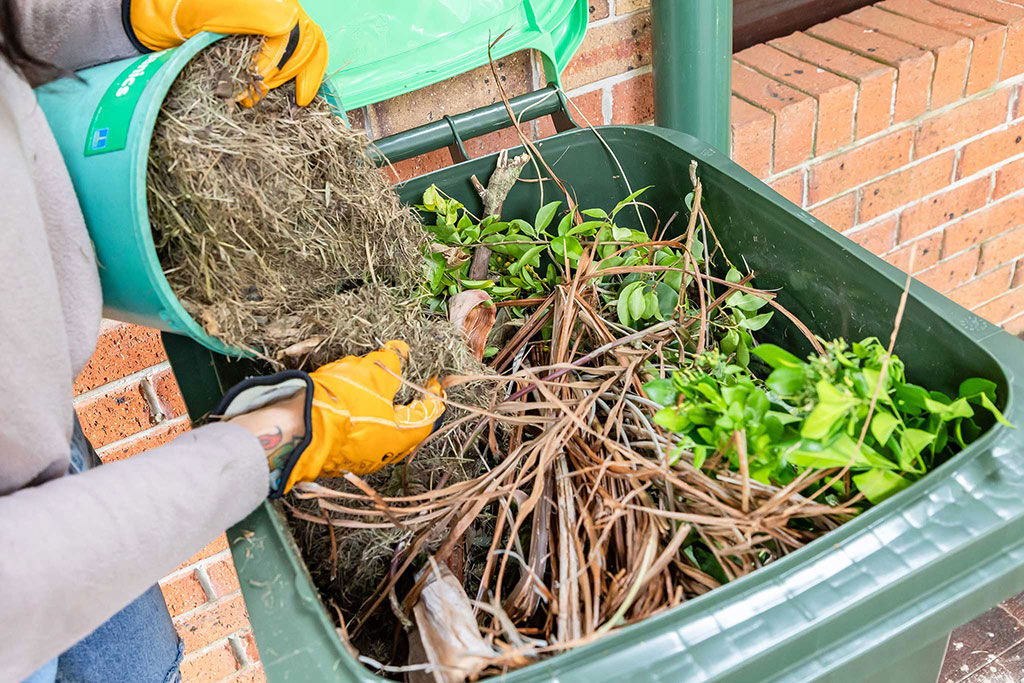 Grass clippings being tipped into a green waste bin which has palm fronds and other garden waste in the bin.