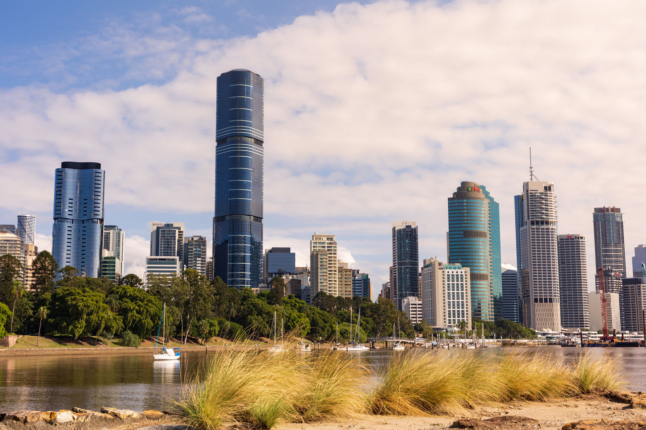 View of Brisbane CBD skyline and city-end of City Botanic Gardens viewed from rocks at Kangaroo Point with grasses in photo foreground