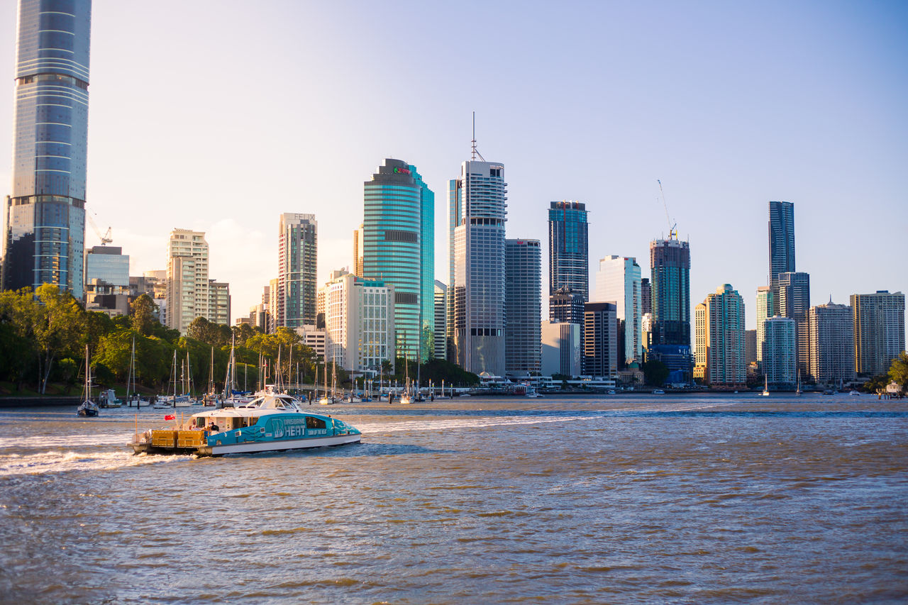 Brisbane CityCat with Brisbane Heat wrap on Brisbane River at sunset with Brisbane CBD in background.