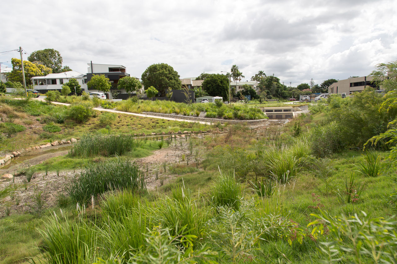 View of completed waterway project works at Coorparoo Creek Park. Part of Norman Creek catchment.