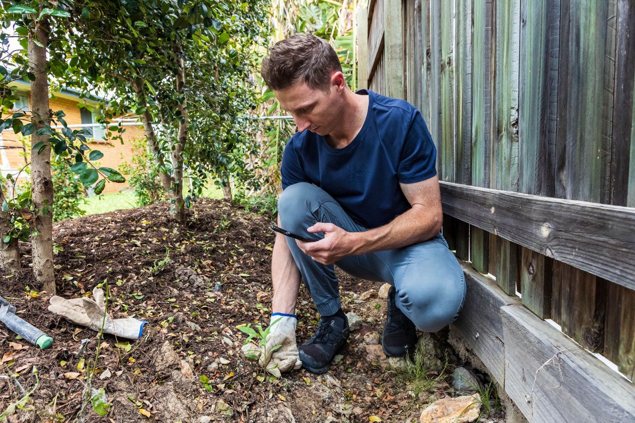 A man uses the Weed Identification Tool to identify a weed in a garden.