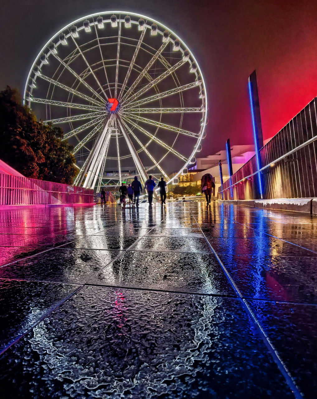 Lord Mayor's Photographic Awards 2026 – Peeple’s Choice Finalist - Vincent McLachlan - With the rain comes the reflections. The Wheel of Brisbane at night with its reflection shining on the surface of the Neville Bonner Bridge.