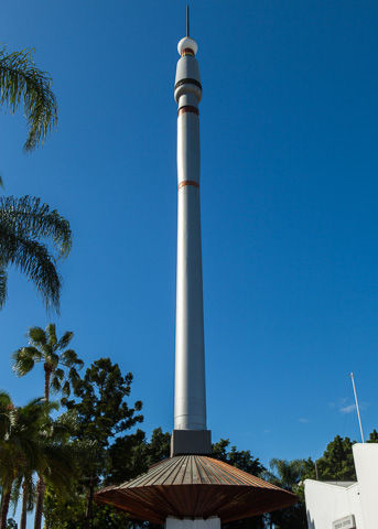 Night Companion (Sky Needle)