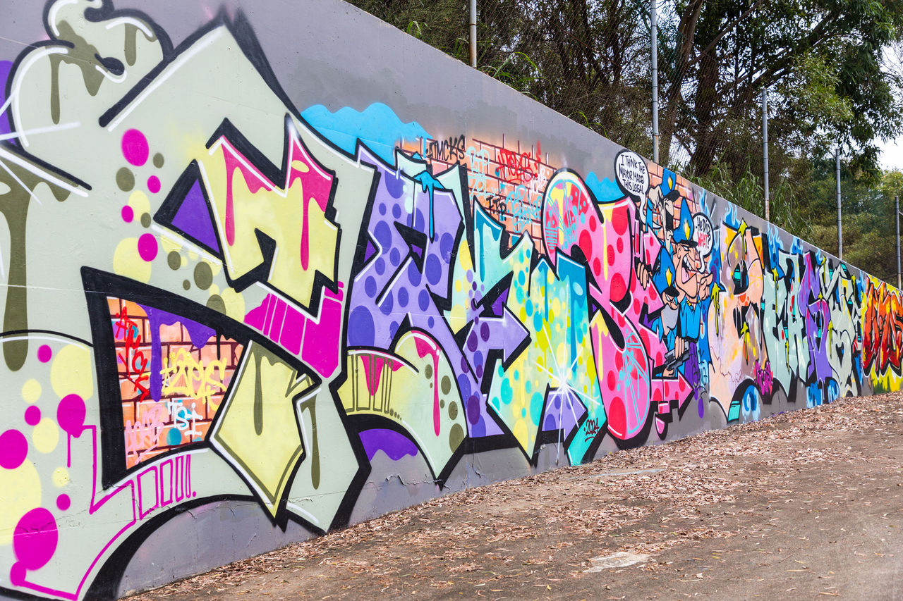 This is an image of a legal street art wall in Tingalpa. The wall is painted with artwork.