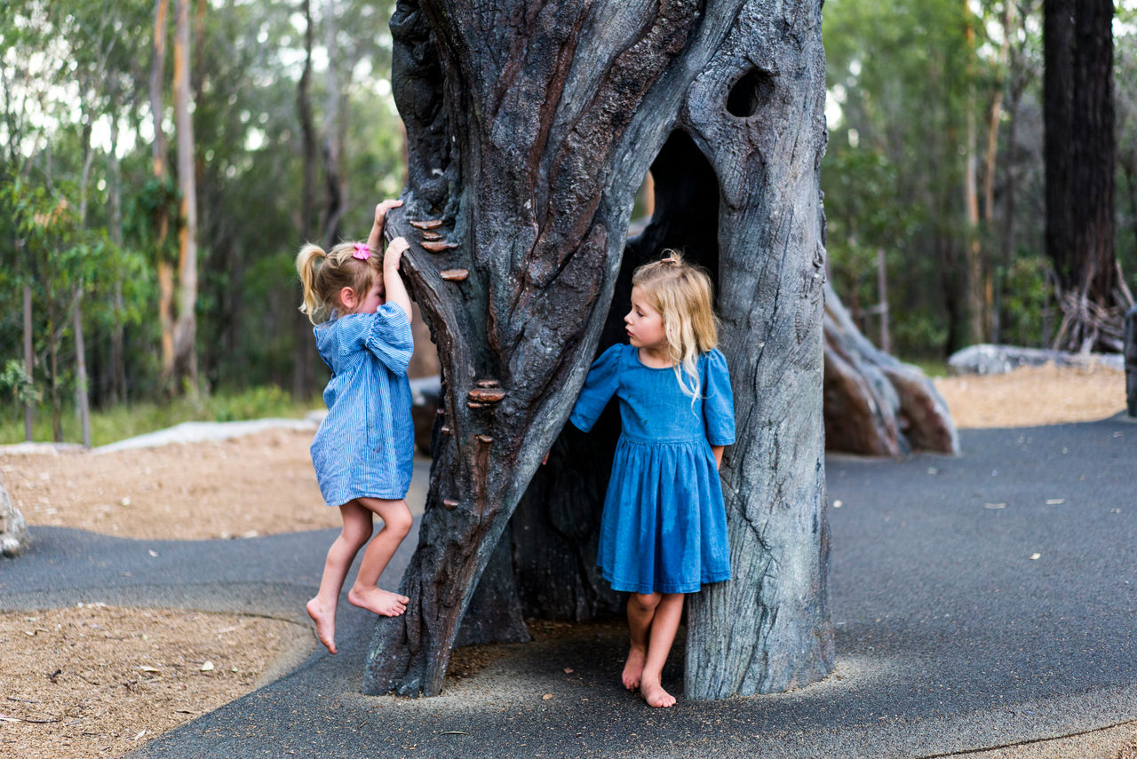 Two young girls playing in the nature-play area at Karawatha Forest Discovery Centre.