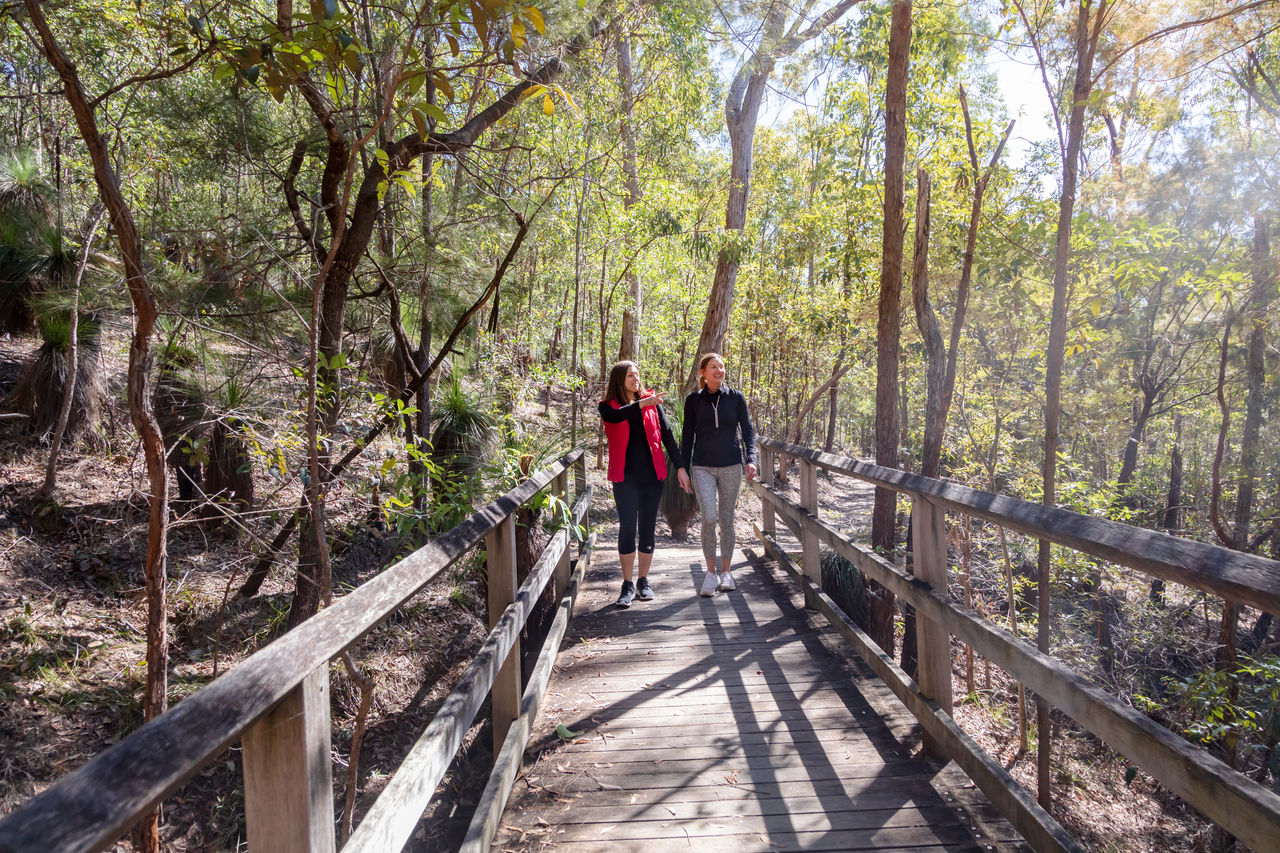 Walkers crossing a bridge at Milne Hill Reserve.