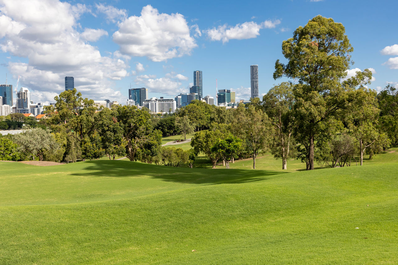 A view of the city from Victoria Park / Barrambin.