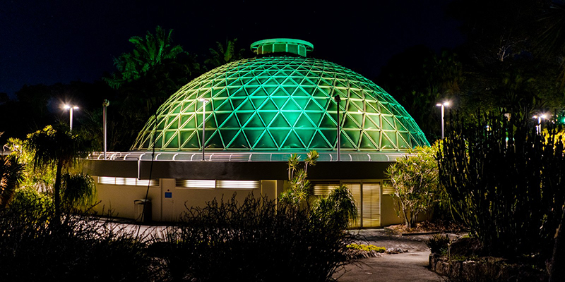 Tropical display dome green and gold light up