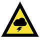 Image of Australian Warning System Advice alert. A black thunderstorm icon on a yellow triangle with a black border.