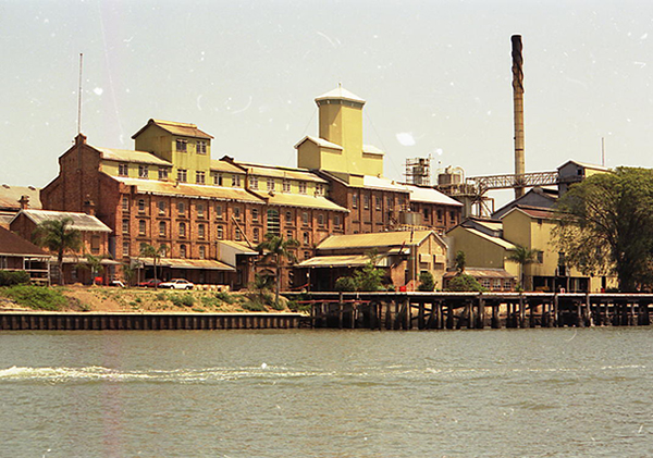 This colour photograph of the Colonial Sugar Refinery was taken from the Brisbane River in 1991. This industrial complex on the riverfront has a large brick 5-storey building with a prominent double storey tower on the roof, a steel chimney towering over all its buildings, and a timber wharf.