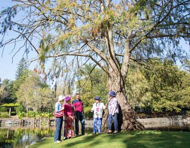 CANCELLED: Free guided tour - Brisbane Botanic Gardens Mt Coot-tha