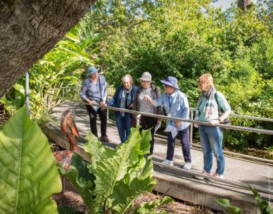 Botanic Gardens Open Day - Special Guided Walk - Ancient land, new eyes