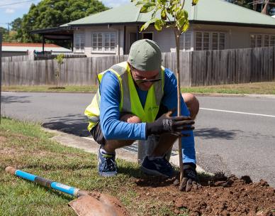 Cooling Our Community Inala - community street tree planting event