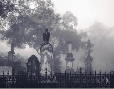 Photo Competition at Balmoral Cemetery