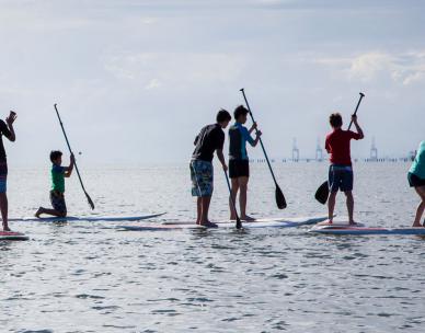 Stand up Paddle boarding