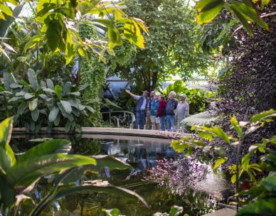 Botanic Gardens Open Day - Special Guided Walk - Botanic Encounters
