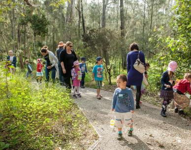 CANCELLED - Bush Kindy - Guided walk in the bushland