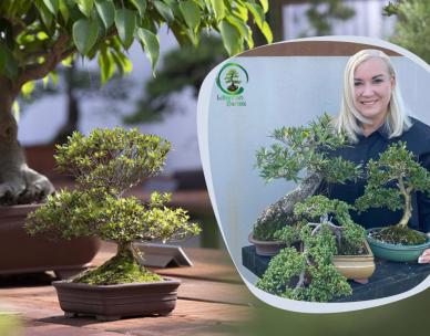Lilliannah bonsai workshop