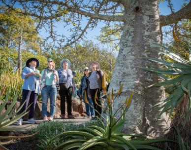 Free guided tour - Brisbane Botanic Gardens Mt Coot-tha