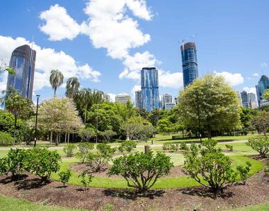 CANCELLED: Free guided tour - City Botanic Gardens